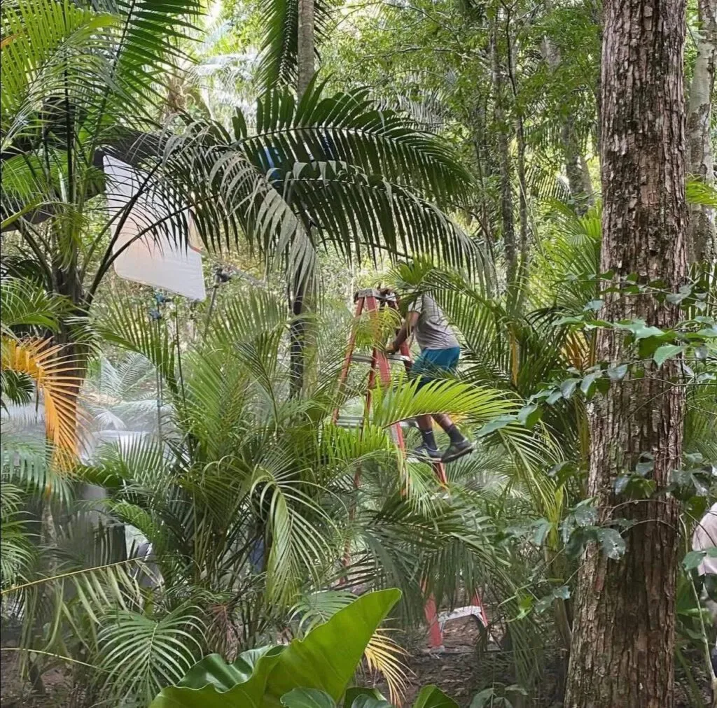 en sabana grande boya reality en sabana grande boya reality