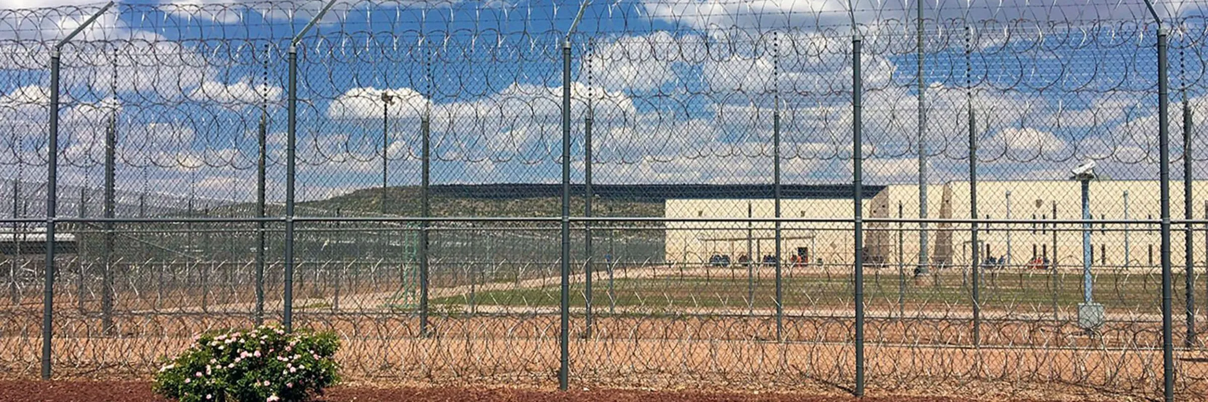 imagen de referencia